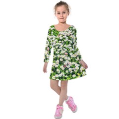 Green Field Of White Daisy Flowers Kids  Long Sleeve Velvet Dress by FunnyCow