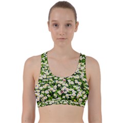 Green Field Of White Daisy Flowers Back Weave Sports Bra by FunnyCow