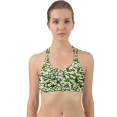 Green Field Of White Daisy Flowers Back Web Sports Bra by FunnyCow