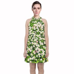 Green Field Of White Daisy Flowers Velvet Halter Neckline Dress  by FunnyCow