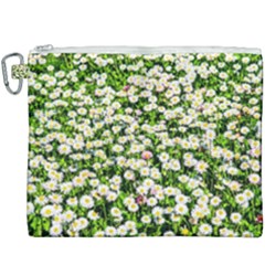 Green Field Of White Daisy Flowers Canvas Cosmetic Bag (xxxl) by FunnyCow