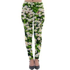 Green Field Of White Daisy Flowers Lightweight Velour Leggings by FunnyCow