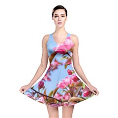 Crab Apple Blossoms Reversible Skater Dress by FunnyCow