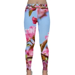 Crab Apple Blossoms Classic Yoga Leggings by FunnyCow