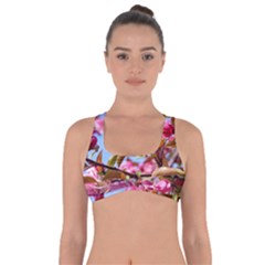 Crab Apple Blossoms Got No Strings Sports Bra by FunnyCow