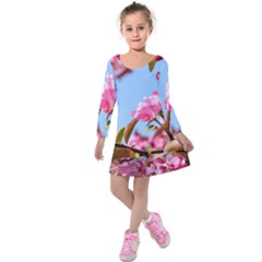 Crab Apple Blossoms Kids  Long Sleeve Velvet Dress by FunnyCow