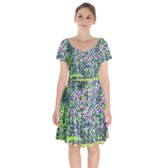 Lilacs Of The First Water Short Sleeve Bardot Dress by FunnyCow