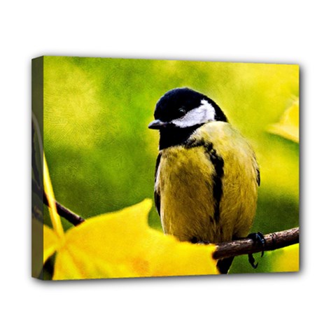 Tomtit Bird Dressed To The Season Canvas 10  X 8  by FunnyCow