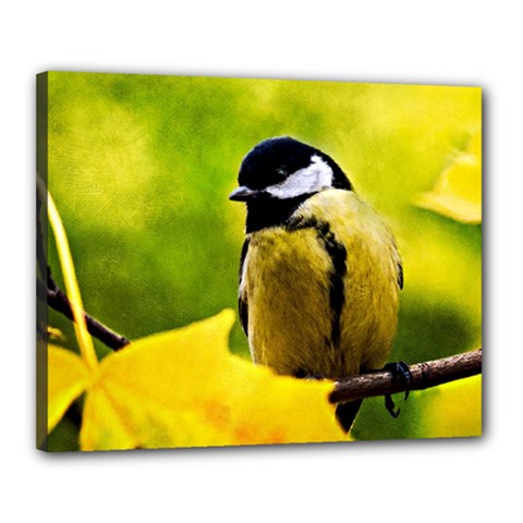 Tomtit Bird Dressed To The Season Canvas 20  X 16  by FunnyCow