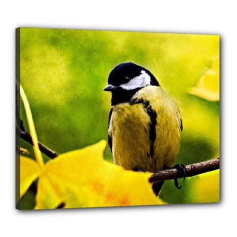 Tomtit Bird Dressed To The Season Canvas 24  X 20  by FunnyCow