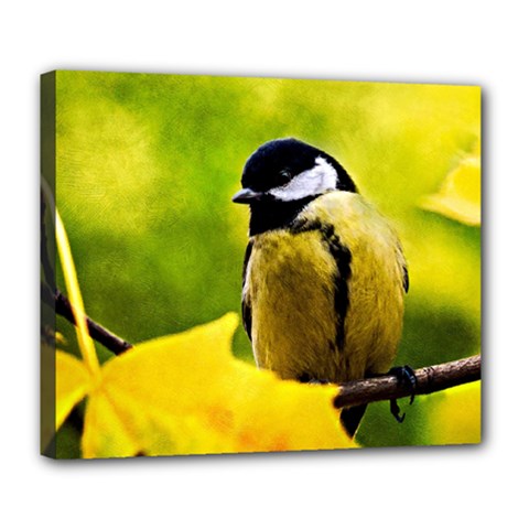 Tomtit Bird Dressed To The Season Deluxe Canvas 24  X 20   by FunnyCow