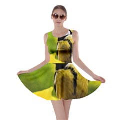 Tomtit Bird Dressed To The Season Skater Dress by FunnyCow