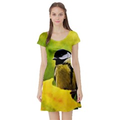 Tomtit Bird Dressed To The Season Short Sleeve Skater Dress by FunnyCow