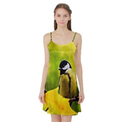 Tomtit Bird Dressed To The Season Satin Night Slip by FunnyCow