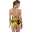 Tomtit Bird Dressed To The Season Halter Cut-Out One Piece Swimsuit View2