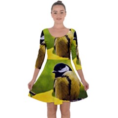 Tomtit Bird Dressed To The Season Quarter Sleeve Skater Dress by FunnyCow