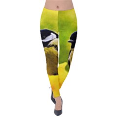 Tomtit Bird Dressed To The Season Velvet Leggings by FunnyCow