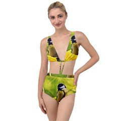 Tomtit Bird Dressed To The Season Tied Up Two Piece Swimsuit by FunnyCow