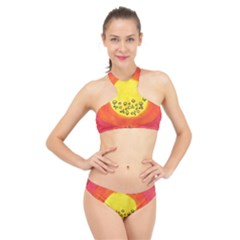 Red Sun High Neck Bikini Set