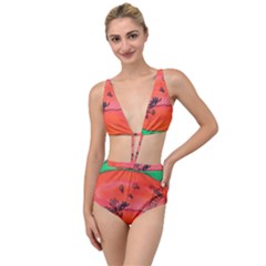 Flying Eyebird Tied Up Two Piece Swimsuit