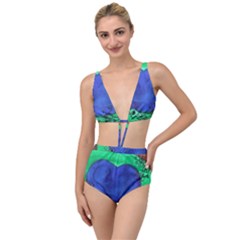 Peacocks Tied Up Two Piece Swimsuit