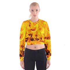 Fire And Flames Cropped Sweatshirt by FunnyCow