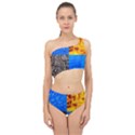 The Fifth Inside Vertical Pattern Spliced Up Two Piece Swimsuit View1