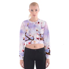 Pink Sakura Purple Background Cropped Sweatshirt by FunnyCow