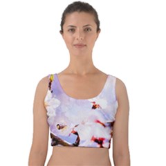 Pink Sakura Purple Background Velvet Crop Top by FunnyCow