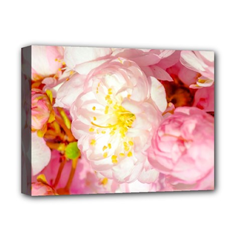 Pink Flowering Almond Flowers Deluxe Canvas 16  X 12   by FunnyCow