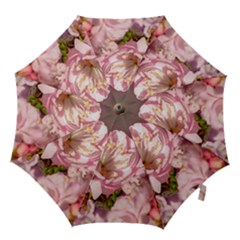 Beautiful Flowering Almond Hook Handle Umbrellas (medium) by FunnyCow