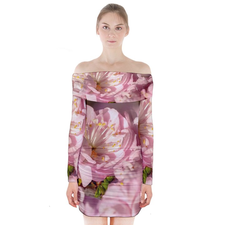 Beautiful Flowering Almond Long Sleeve Off Shoulder Dress