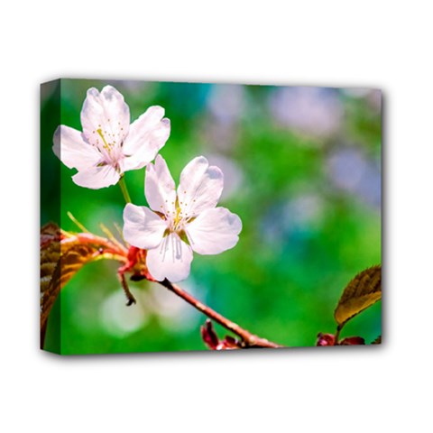 Sakura Flowers On Green Deluxe Canvas 14  X 11  by FunnyCow