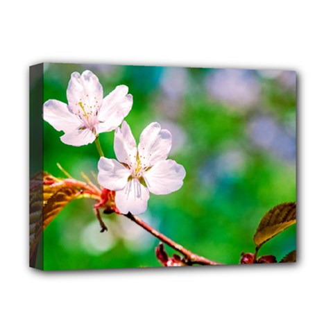 Sakura Flowers On Green Deluxe Canvas 16  X 12   by FunnyCow