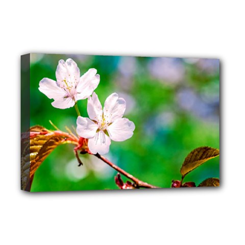 Sakura Flowers On Green Deluxe Canvas 18  X 12   by FunnyCow