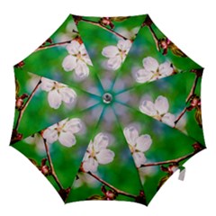 Sakura Flowers On Green Hook Handle Umbrellas (large) by FunnyCow