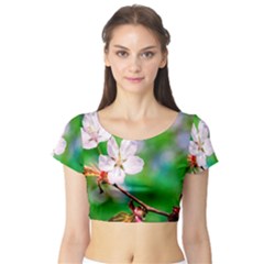 Sakura Flowers On Green Short Sleeve Crop Top by FunnyCow