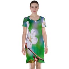 Sakura Flowers On Green Short Sleeve Nightdress by FunnyCow