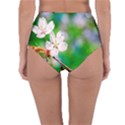 Sakura Flowers On Green Reversible High-Waist Bikini Bottoms View4