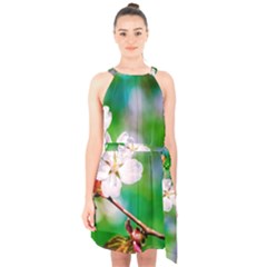 Sakura Flowers On Green Halter Collar Waist Tie Chiffon Dress by FunnyCow