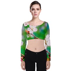 Sakura Flowers On Green Velvet Crop Top