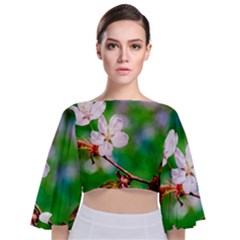 Sakura Flowers On Green Tie Back Butterfly Sleeve Chiffon Top by FunnyCow