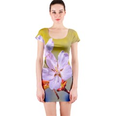 Sakura Flowers On Yellow Short Sleeve Bodycon Dress by FunnyCow