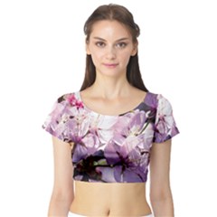 Sakura In The Shade Short Sleeve Crop Top by FunnyCow