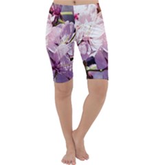 Sakura In The Shade Cropped Leggings  by FunnyCow