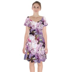 Sakura In The Shade Short Sleeve Bardot Dress