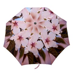 Three Sakura Flowers Folding Umbrellas by FunnyCow