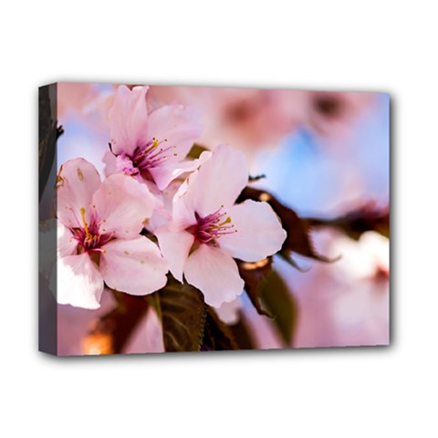 Three Sakura Flowers Deluxe Canvas 16  X 12   by FunnyCow