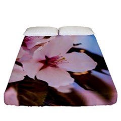 Three Sakura Flowers Fitted Sheet (queen Size) by FunnyCow