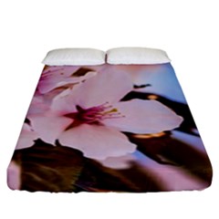 Three Sakura Flowers Fitted Sheet (king Size) by FunnyCow